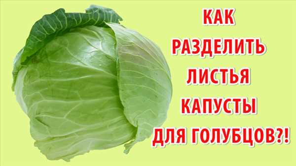 Подготовка: