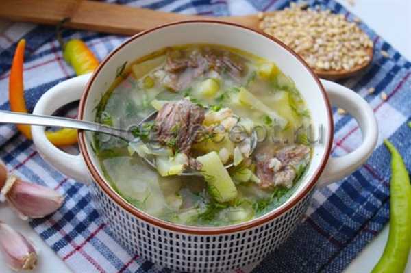 Рецепт солянка с перловкой и солеными огурцами — вкусное и сытное блюдо для всей семьи